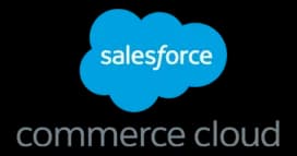 saleForceImage