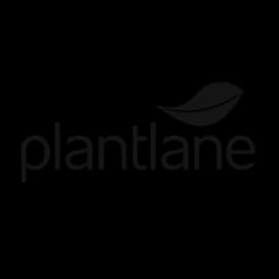Plantlane Logo