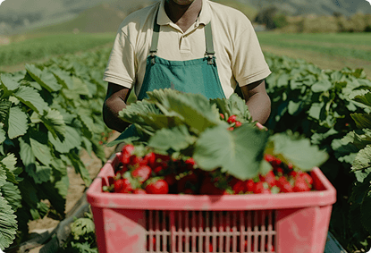 Farms