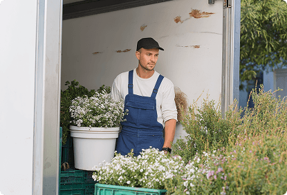 Services